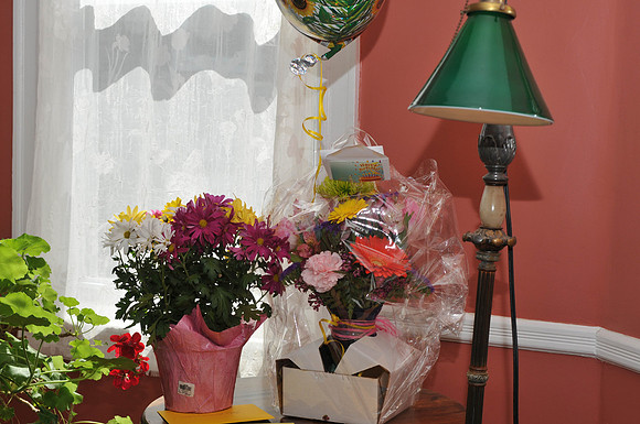 untitled_shoot-DSC_7952