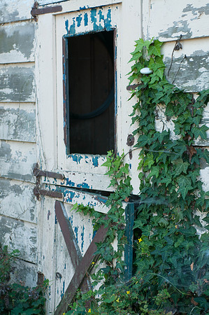 untitled_shoot-DSC_7560