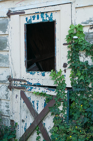 untitled_shoot-DSC_7563
