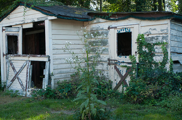 untitled_shoot-DSC_7558