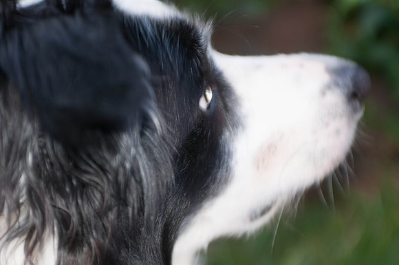 untitled_shoot-DSC_7576