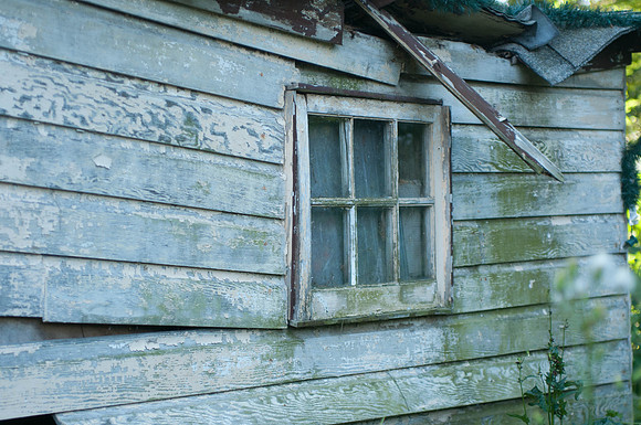 untitled_shoot-DSC_7559