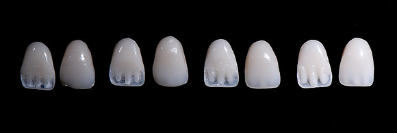 Favs-202