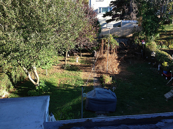 IMG_1689