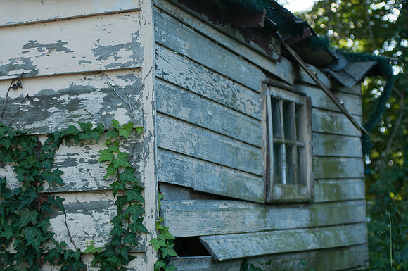 untitled_shoot-DSC_7562