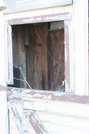 untitled_shoot-DSC_7564