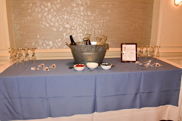 Olivia's_Bridal_Shower-14