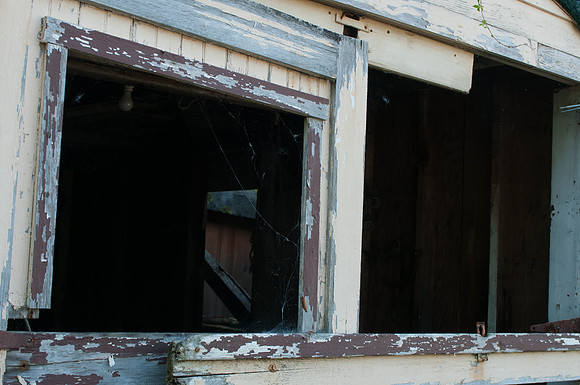 untitled_shoot-DSC_7556